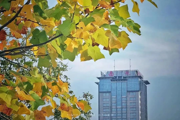 南京航空航天大学专接本